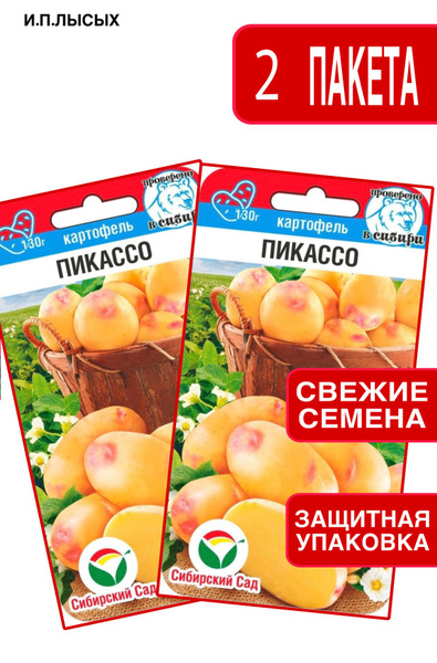 Сибирский сад Картофель Пикассо - купить по выгодным ценам в интернет ...