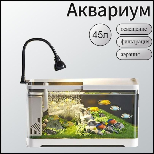 Аквариум - купить с доставкой по выгодным ценам в интернет-магазине ...