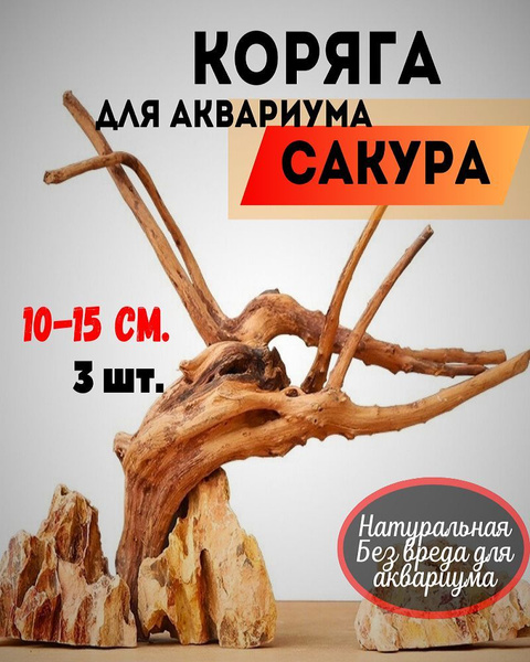 Коряга для аквариума натуральная 3 шт./Коряга натуральная Сакура ...