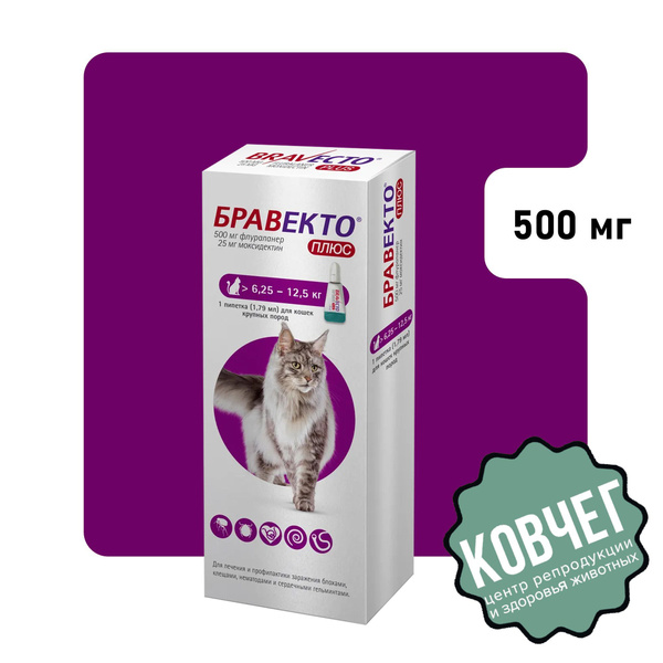 Бравекто Капли для кошек ПЛЮС на вес 6,25 - 12,5 кг 500 мг 1 упаковка ...