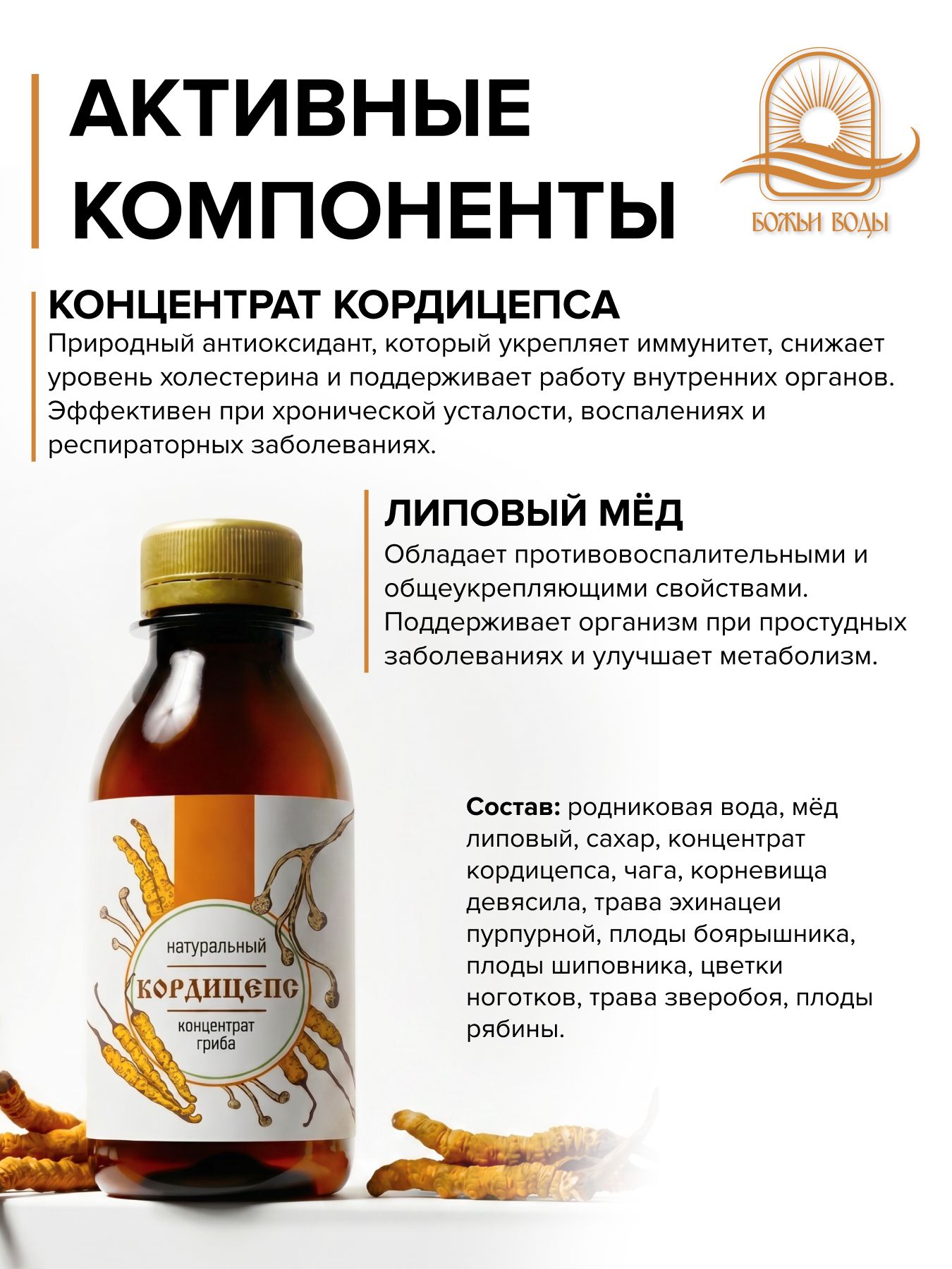 Концентрат кордицепса гриб для иммунитета натуральный