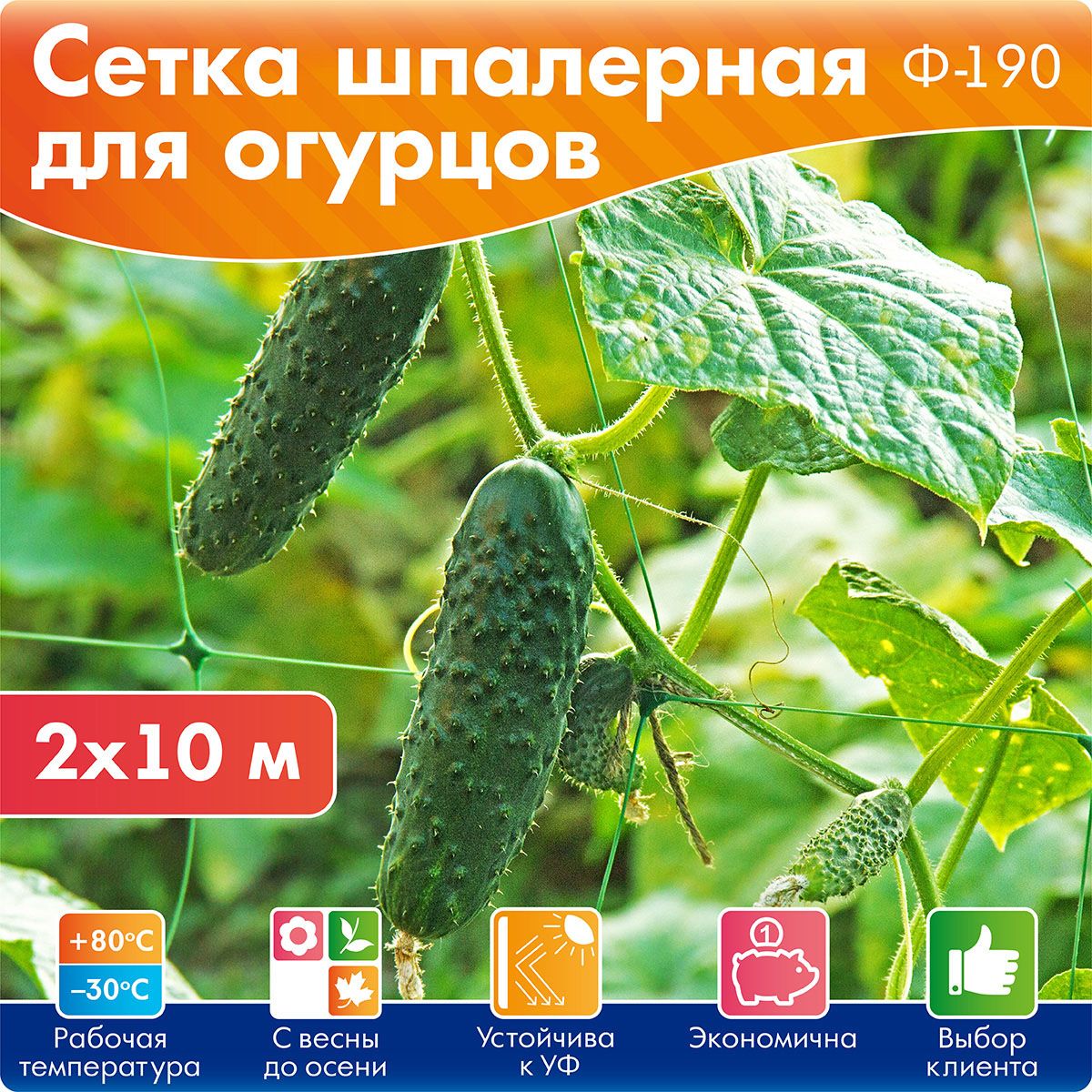 Сетка шпалерная для огурцов 2*10 метра, Протэкт, ячейка 15*19 см - купить  по выгодной цене в интернет-магазине OZON (536401237)