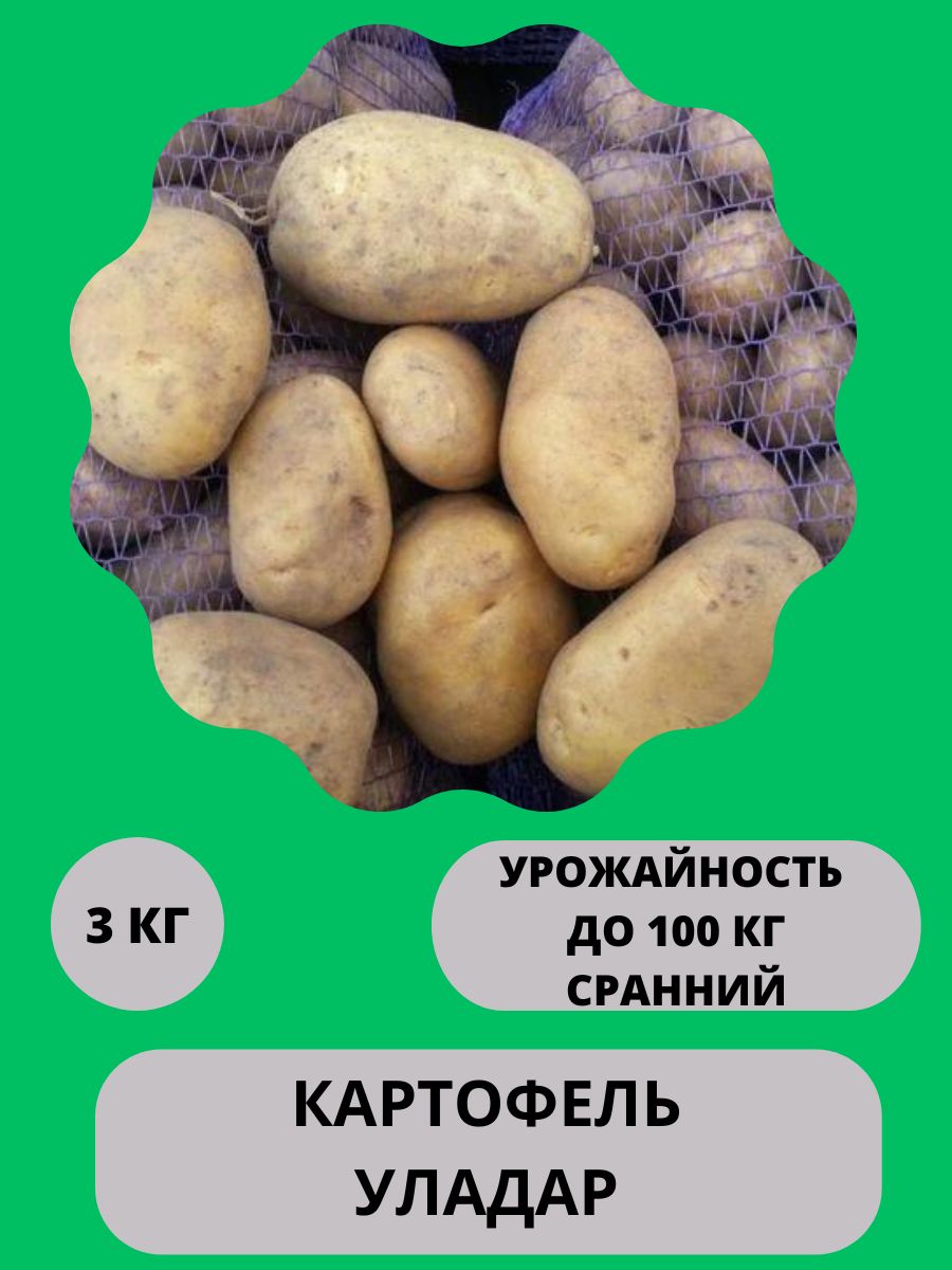 Купить Картофель На Корм На Куфаре