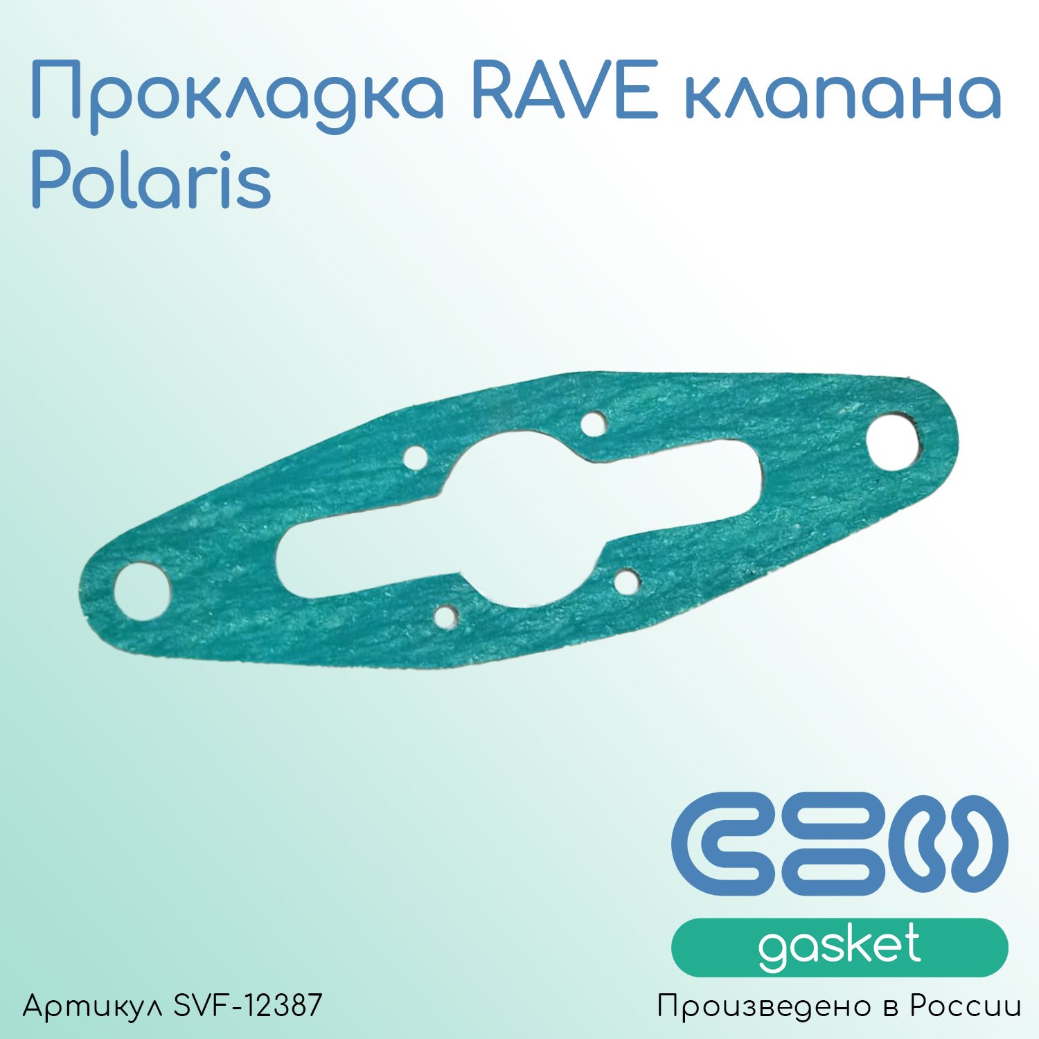 Прокладка RAVE клапана Polaris (5812925)