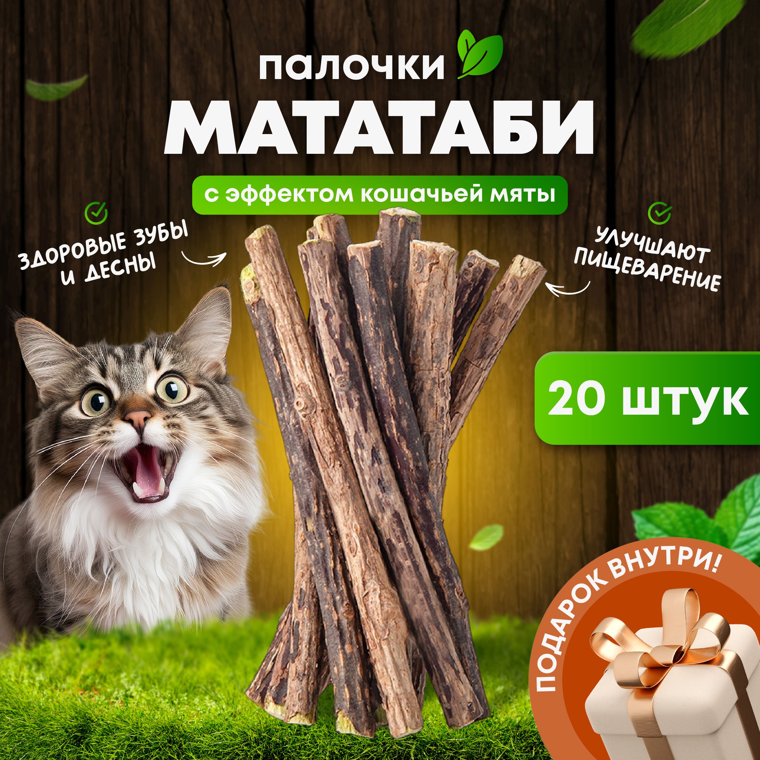 Котенок в доме: первая неделя с вами | Royal Canin