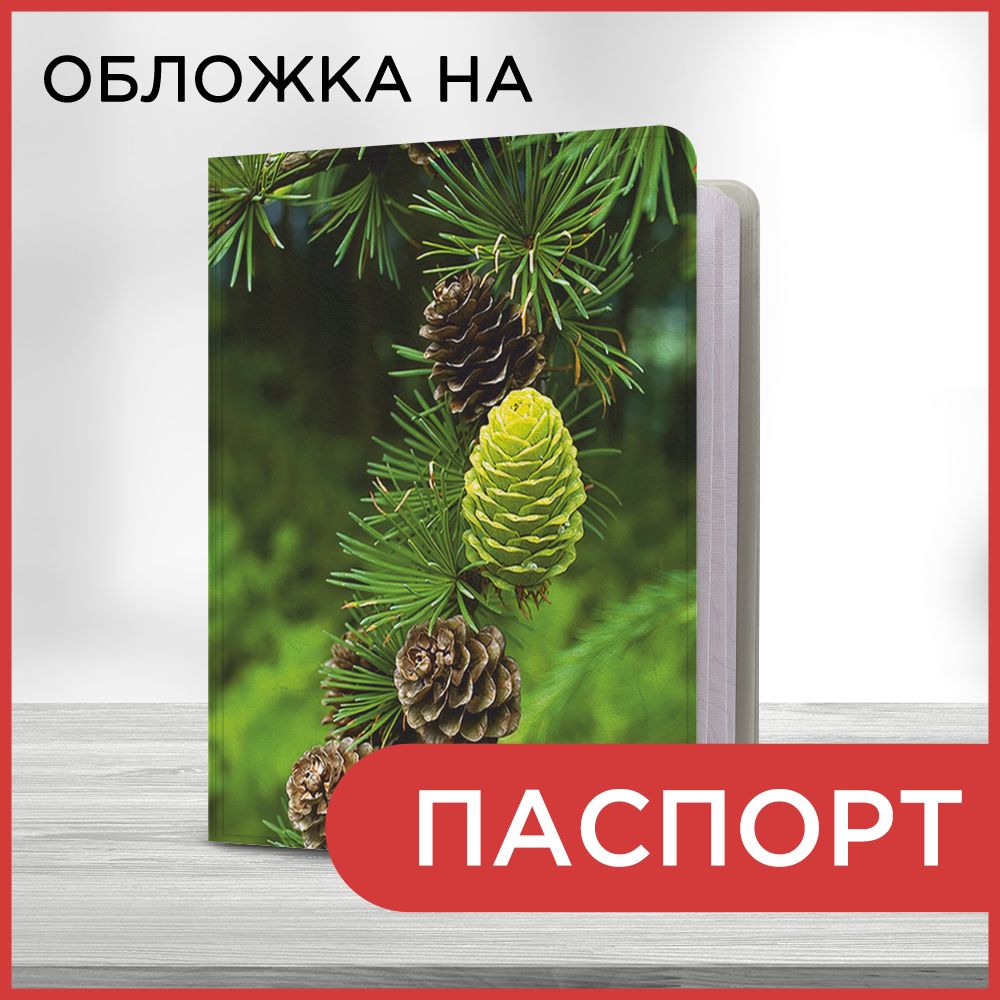 Обложка на паспорт Шишки на ветке, чехол на паспорт мужской, женский -  купить с доставкой по выгодным ценам в интернет-магазине OZON (1126315624)