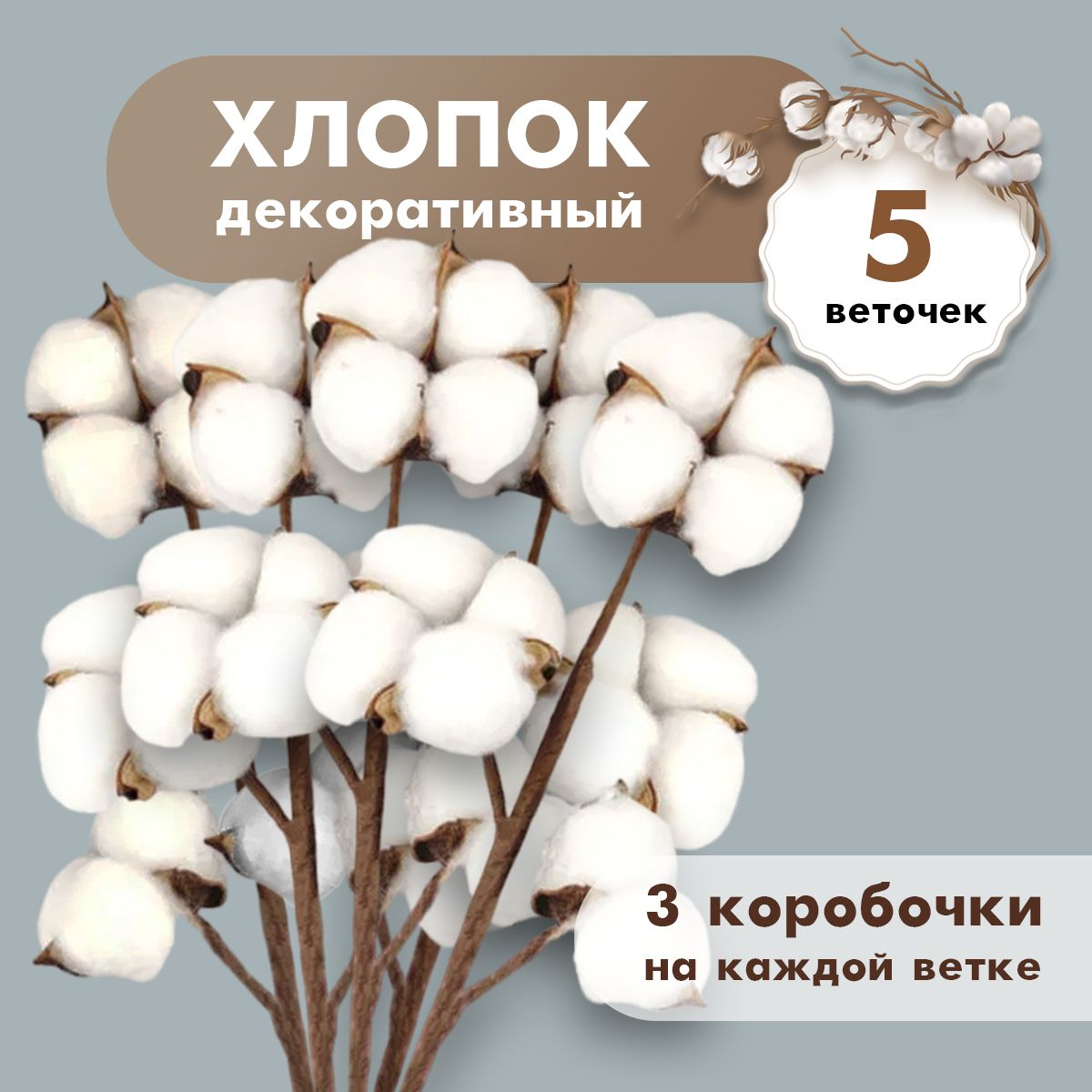 Сухоцветы...