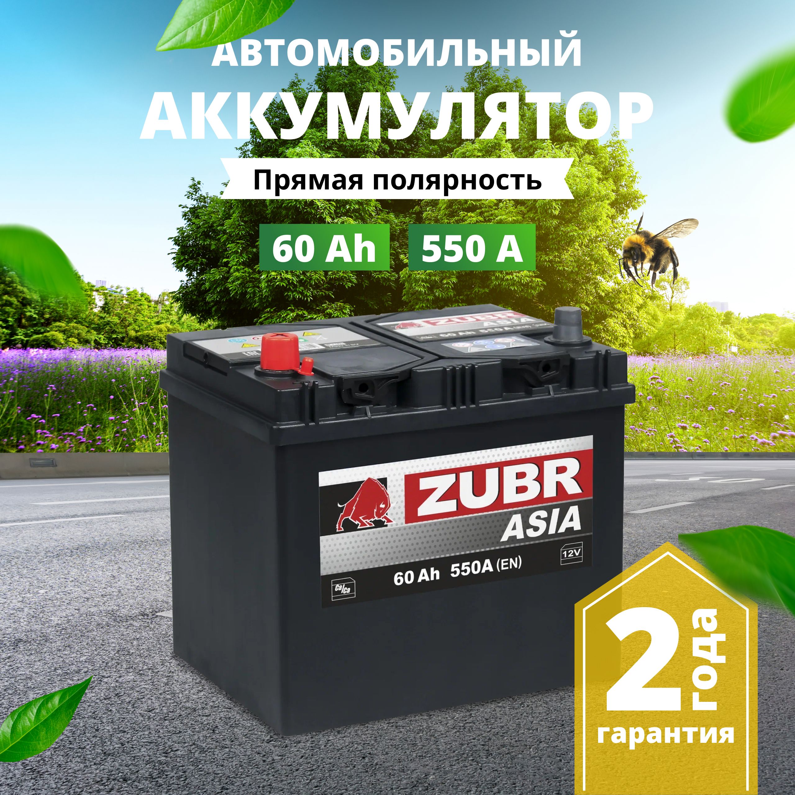 Аккумулятор Zubr 60 – купить в интернет-магазине OZON по низкой цене