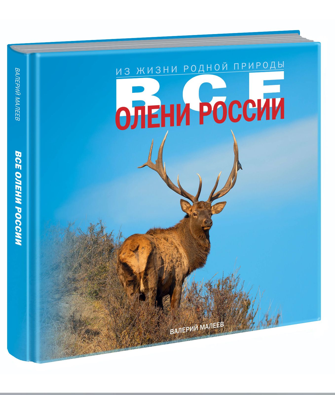 Все олени России | Малеев Валерий Геннадьевич