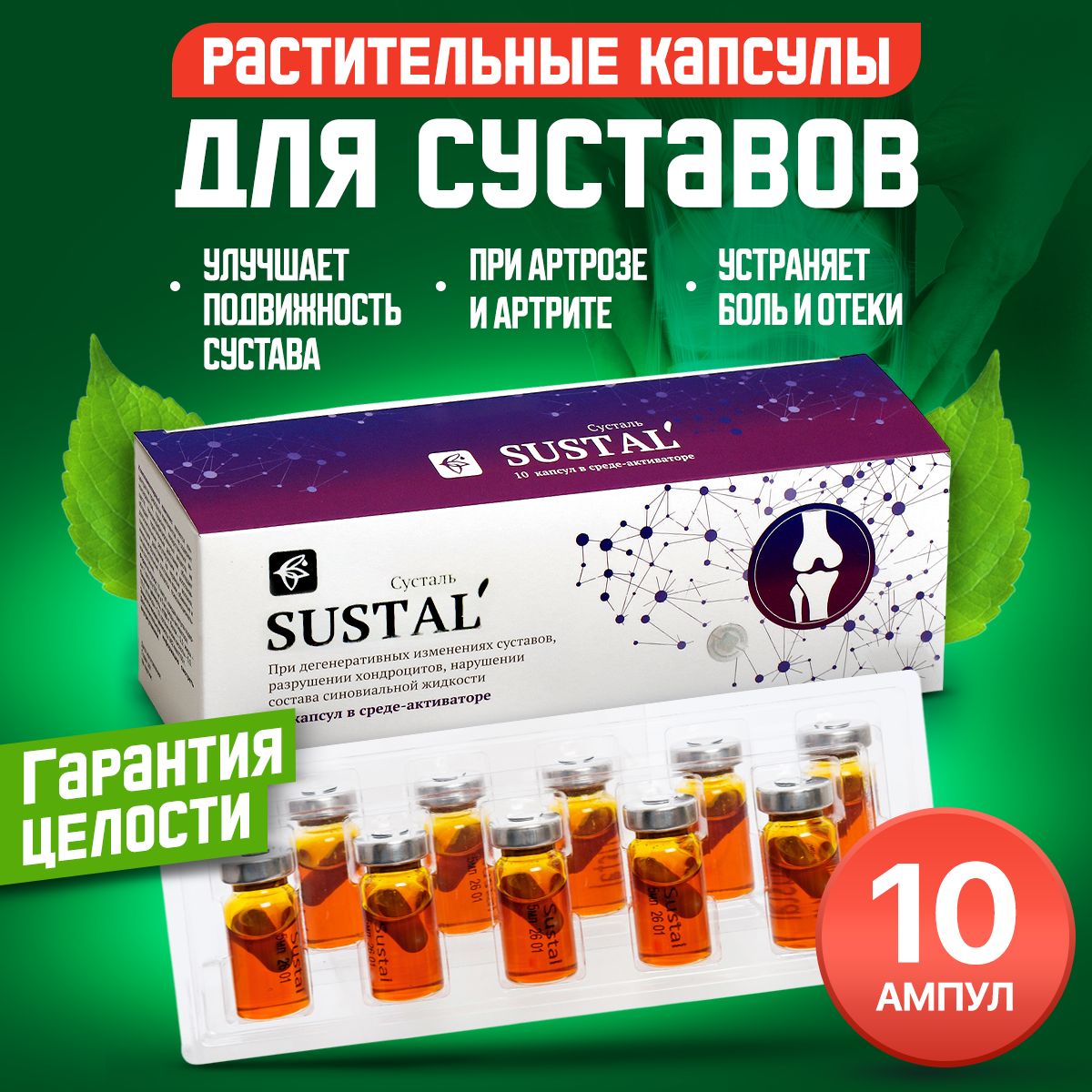 Сусталь Для Суставов Купить В Гомеле Цена