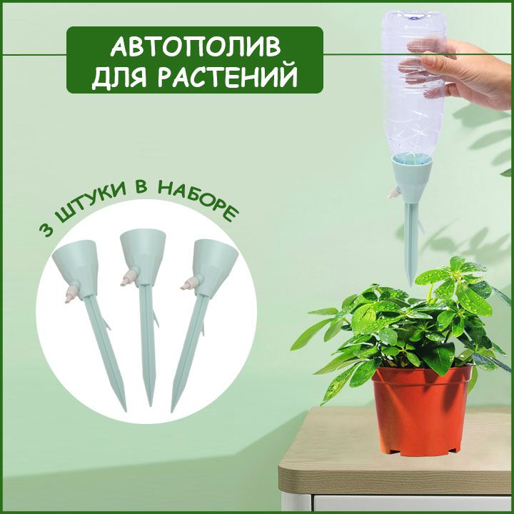 «Все были живы»: 10 способов организовать полив цветов в квартире, когда уезжаешь в отпуск