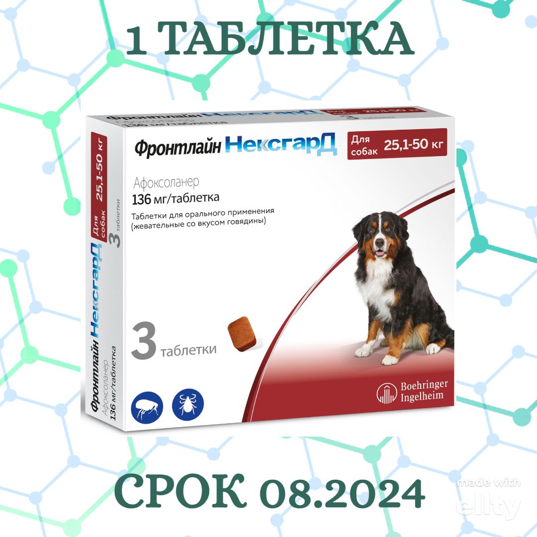 Фронтлайн нексгард для собак применение. Фронтлайн нексгард для собак применение