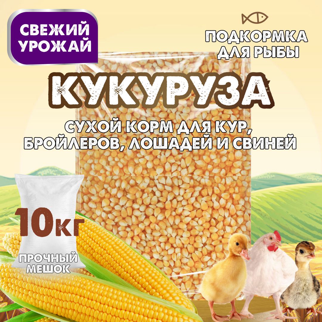 Кукуруза для птиц и сельскохозяйственных животных / Сухой корм для кур, бройлеров, лошадей и свиней / Подкормка для рыбы, 10 кг