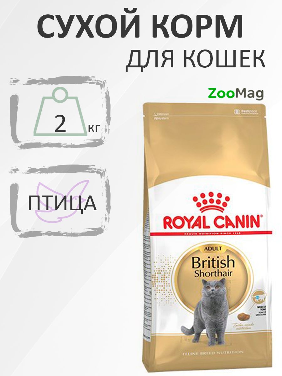 Royal Canin Breed cat British Shorthair / Сухой корм Роял Канин для Взрослых кошек породы Британская короткошерстная, 2 кг