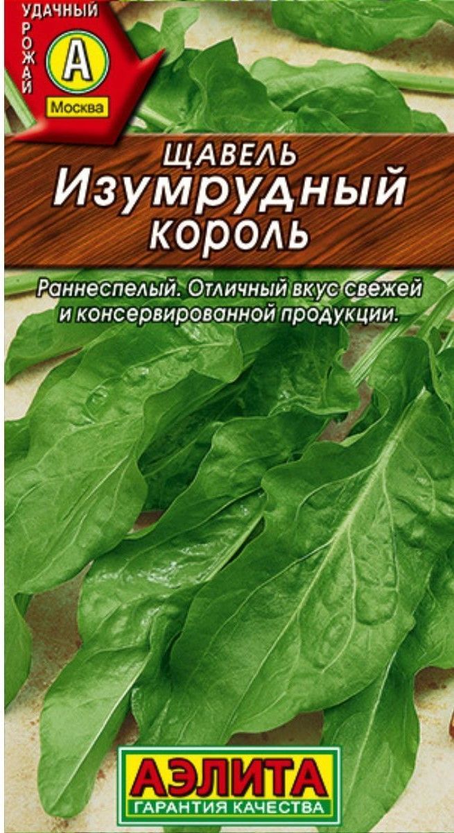 Щавель зимостойкий, изумрудный король, семена 0,5 гр.