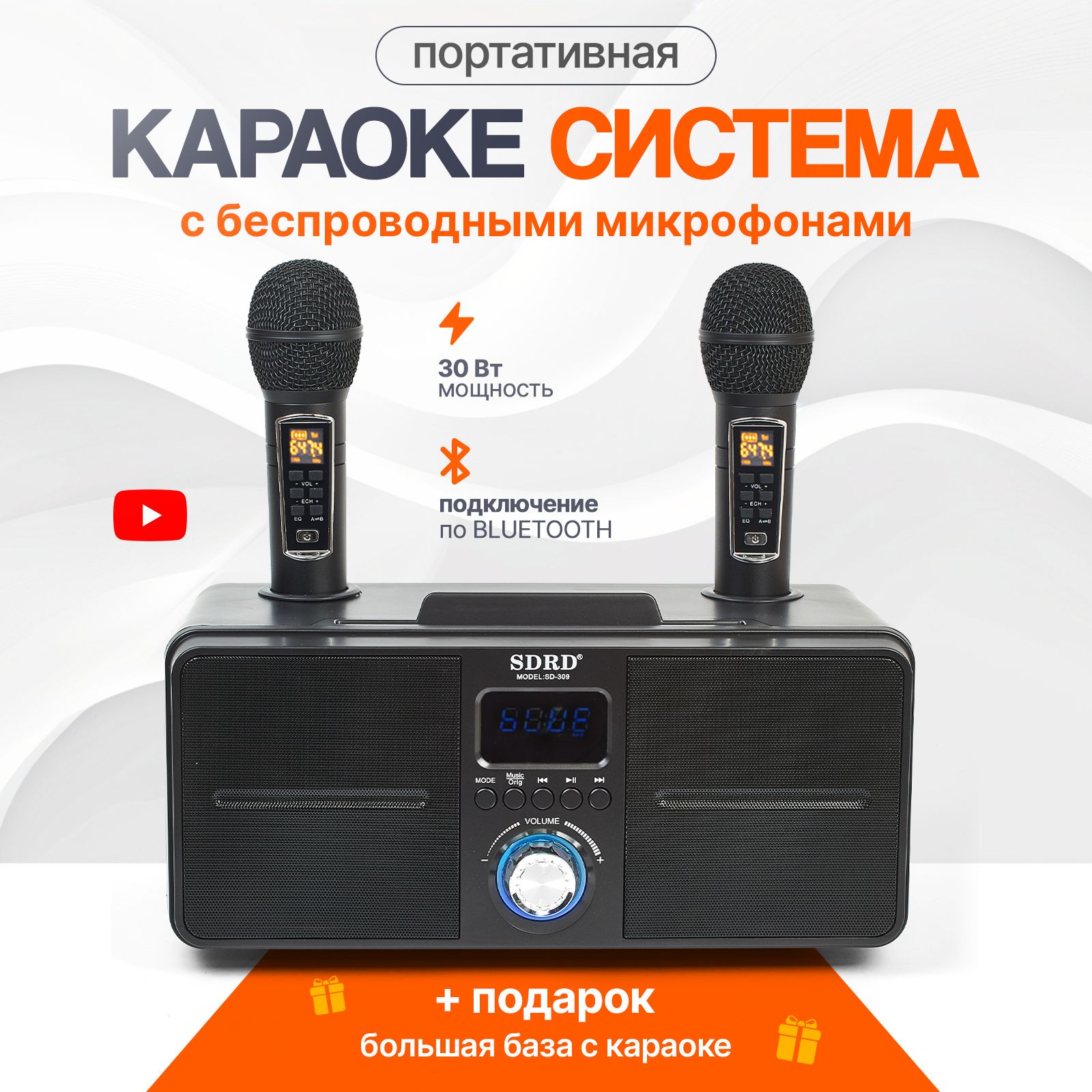 Караоке система SDRD с двумя микрофонами, с функцией Bluetooth и USB разъемом