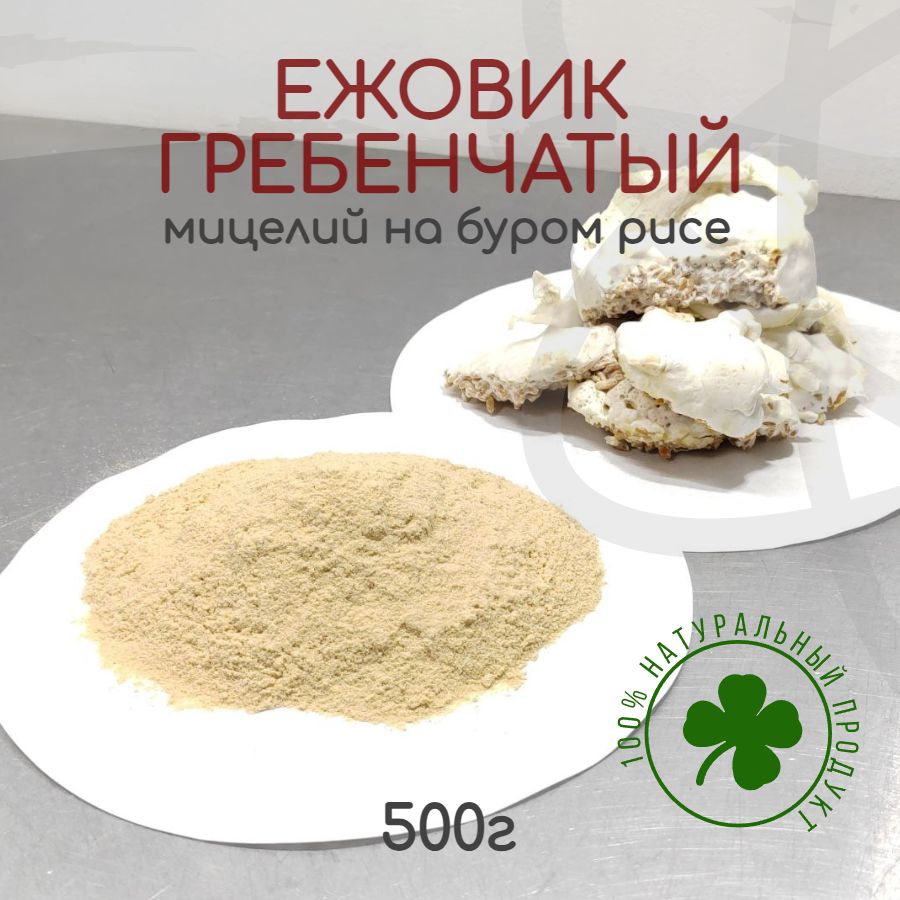 Мицелий ежовика гребенчатого 500г, на буром рисе, молотый