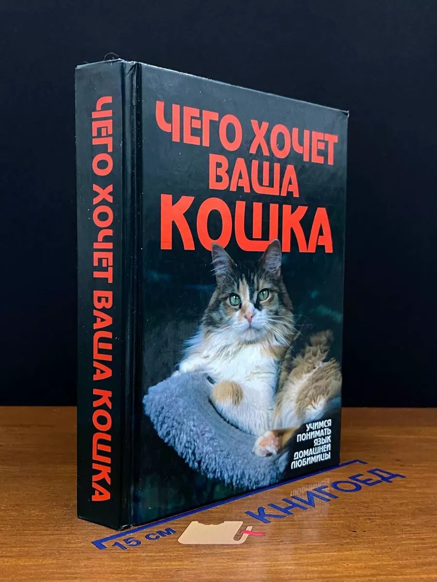 Чего хочет ваша кошка