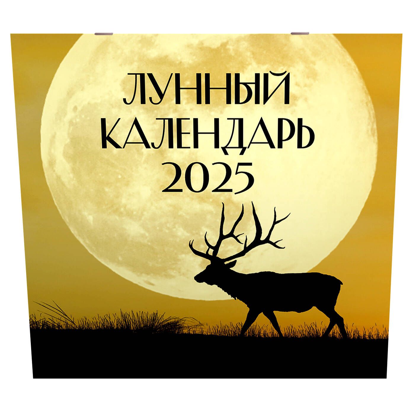 Лунный календарь на 2025 год (настенный)