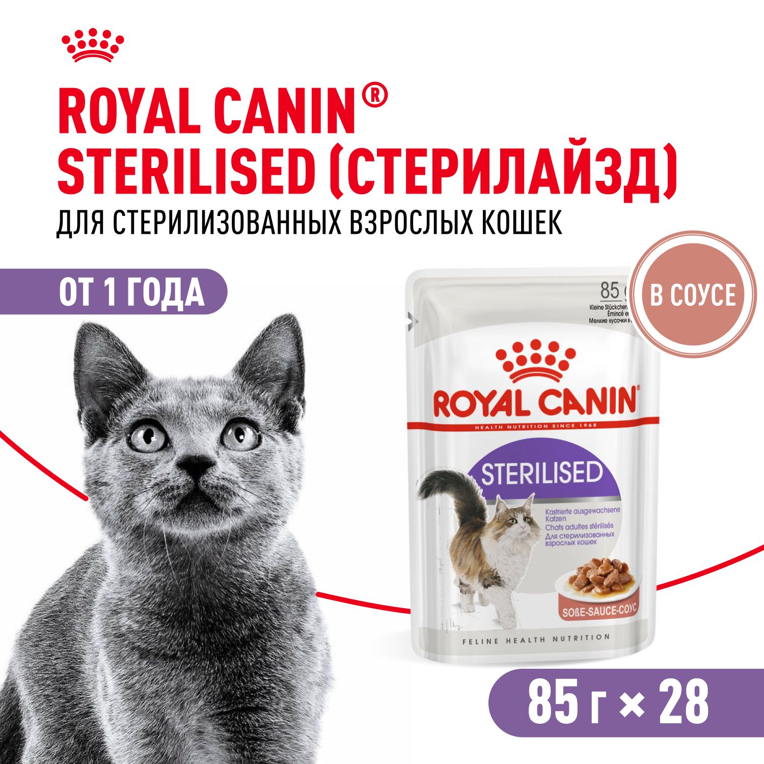 Royal canin sterilised желе 28. Royal canin sterilised желе 28. Royal canin sterilised 10 шт. Royal canin sterilised желе 28. Royal canin sterilised желе 28.