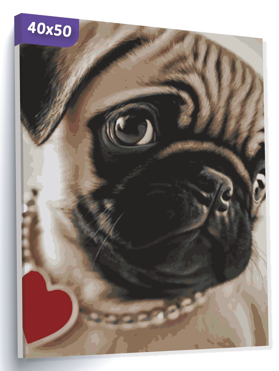 Картина по номерам "Мопс", Холст на подрамнике, 40х50 см, Набор для творчества, Рисование, 40х50 см, Живопись "TT"