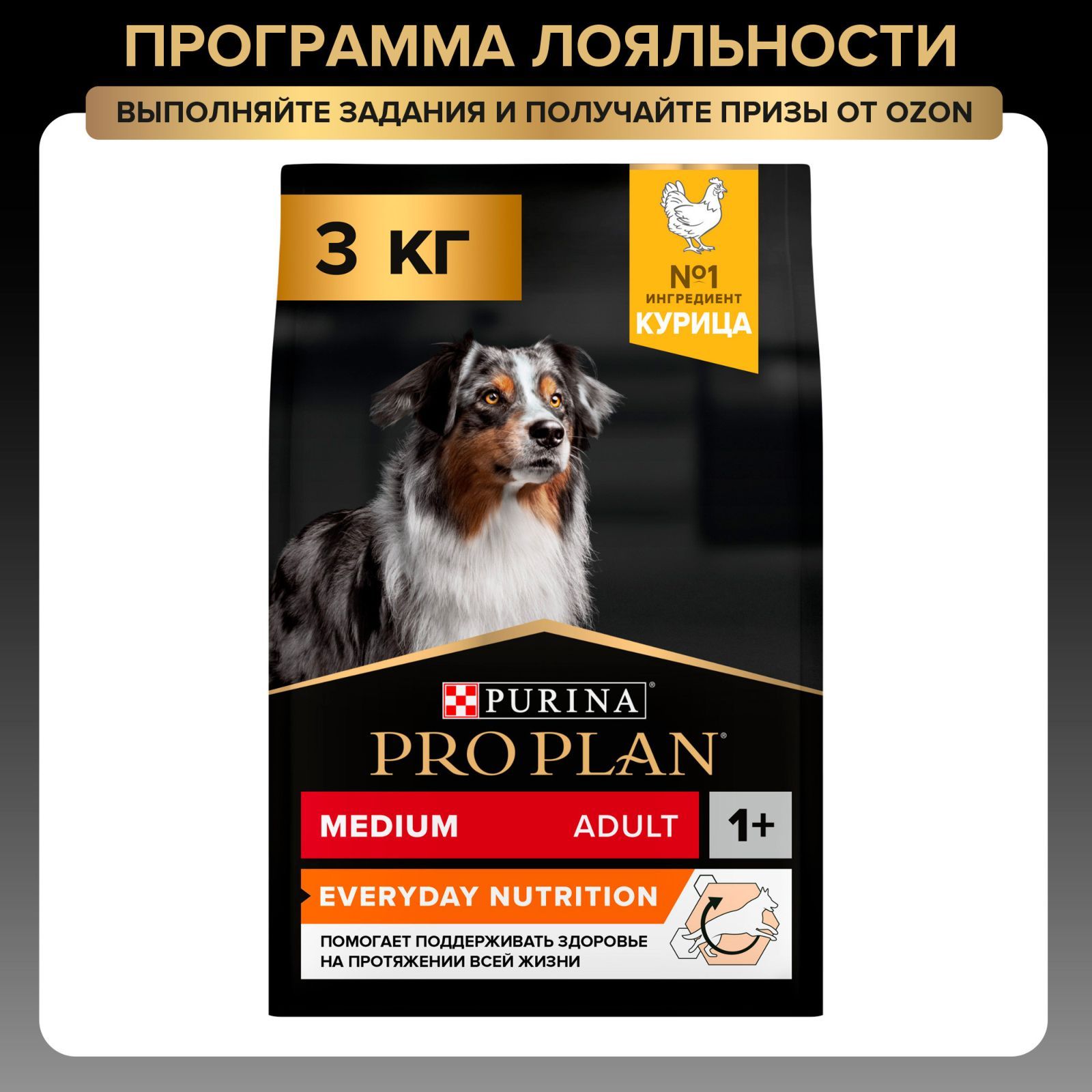 Сухой корм PRO PLAN® EVERYDAY NUTRITION для взрослых собак средних пород с курицей, 3 кг