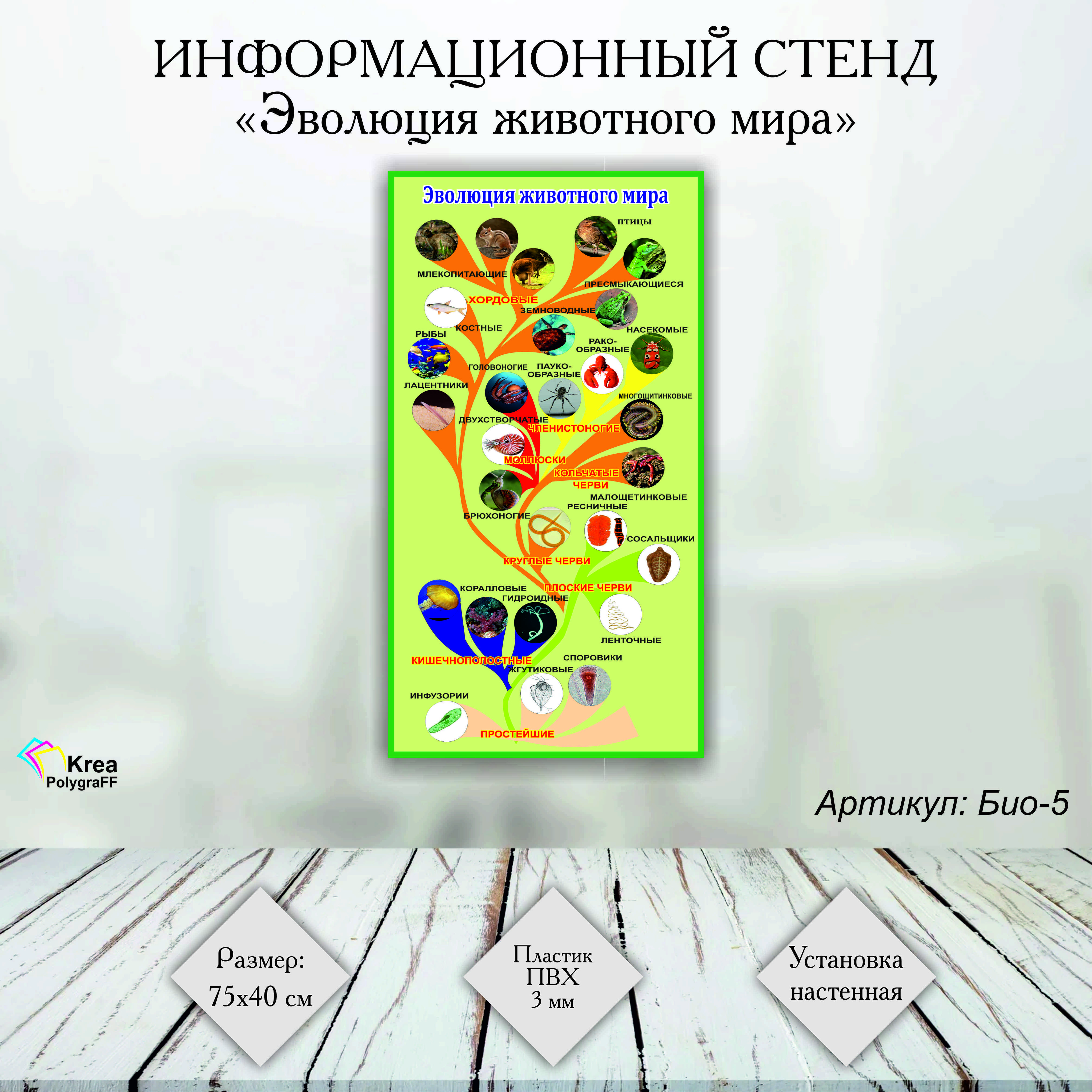 Стенд "Эволюция животного мира " (Био-5) 75х40 см, стенд по биологии о животном мире, ПВХ 3 мм,