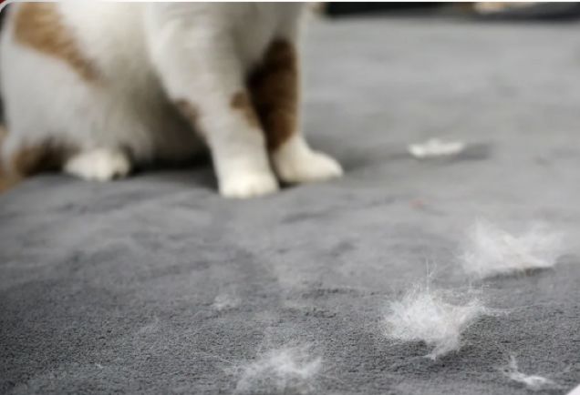 Паровая щетка для кошек и собак, Расческа/ Дешеддер/ Чесалка, Зеленая(图3)