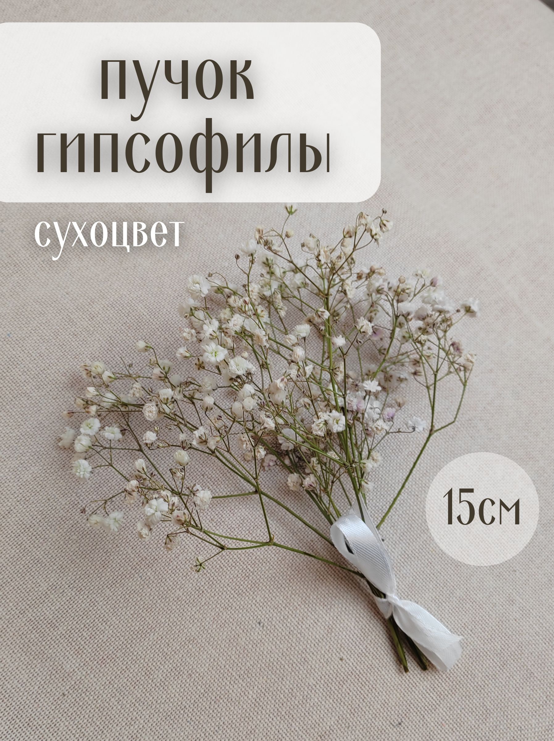 Сухоцветы Гипсофила, 15 см, 30 гр, 1 шт