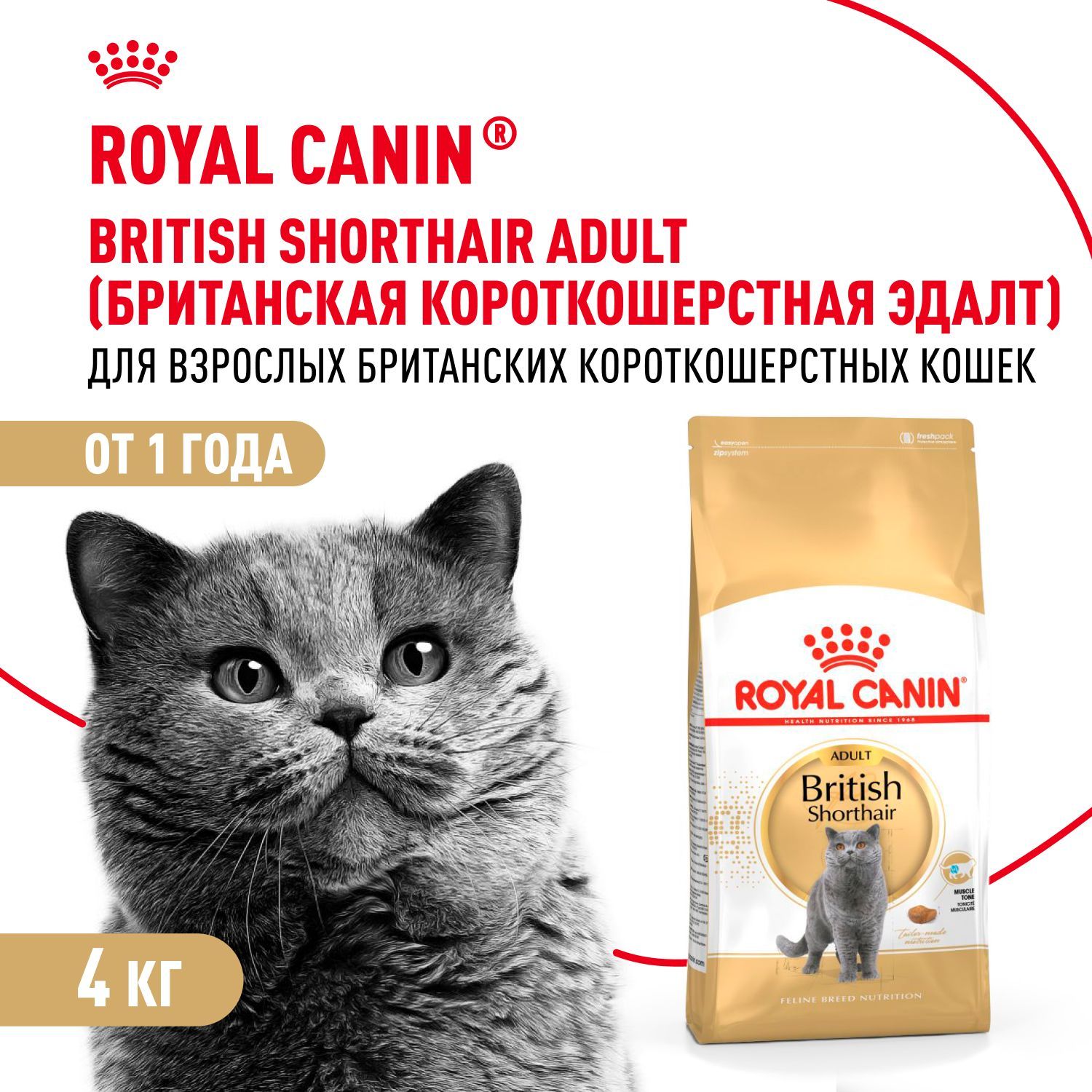 Сухой корм для кошек Royal Canin Adult британской короткошерстной породы, 4 кг