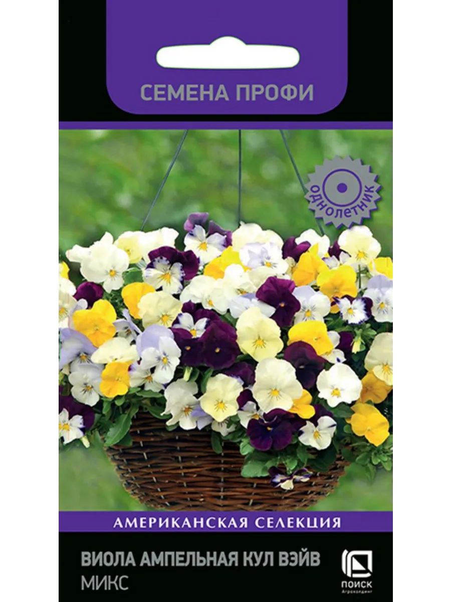 Семена Виолы Купить В Интернет Магазине