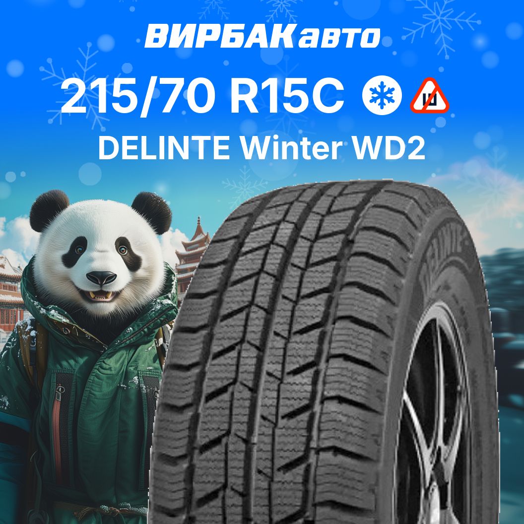 DelinteWinterWD2Шиныдлякоммерческоготранспорта215/70R15С107,109S