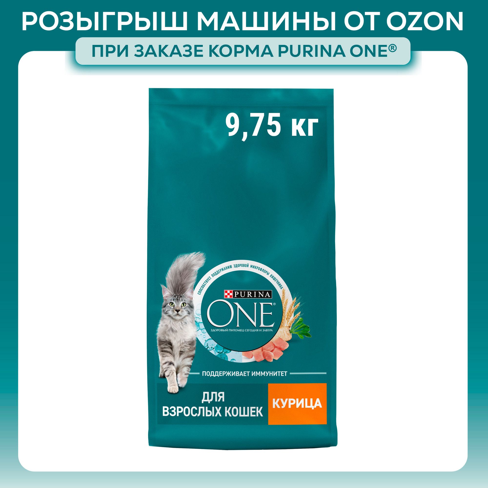 Сухой корм для кошек Purina ONE для взрослых, с курицей и цельными злаками, 9,75 кг