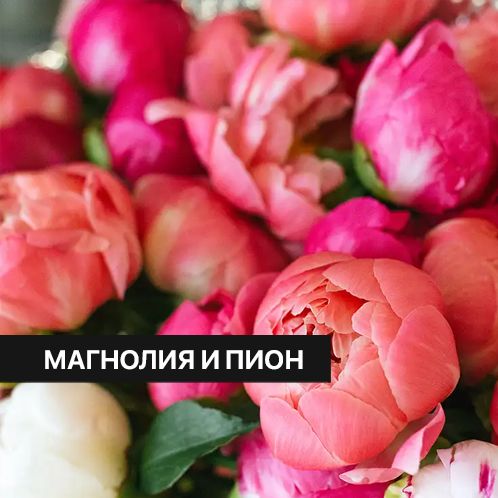 Отдушка CandleScience Magnolia and Peony 30 г (Магнолия и пион)