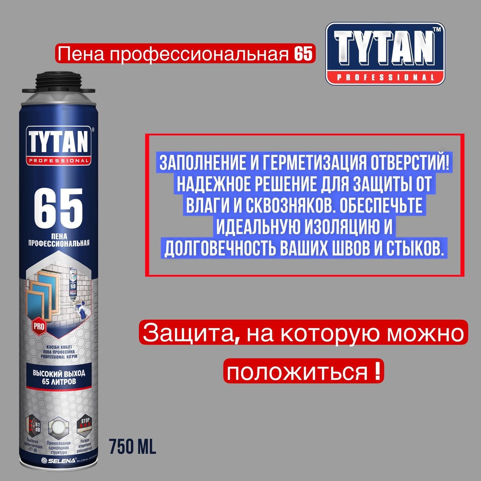 Tytan Professional Профессиональная монтажная пена 750 мл