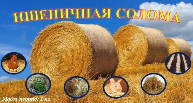 Солома для животных и мульчирования. Подстилка для грызунов и птиц.