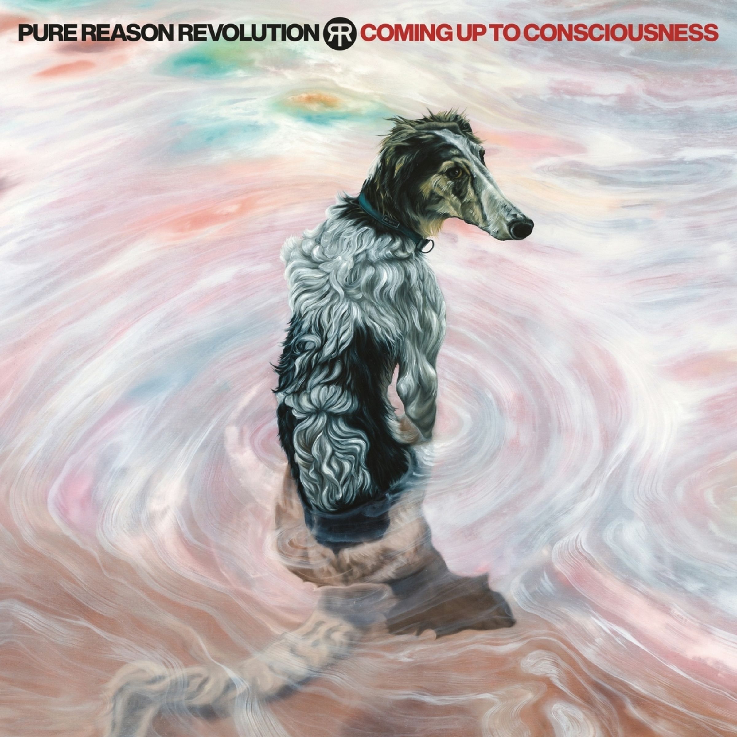 Pure reason revolution coming up to consciousness. Pure reason revolution coming up to consciousness