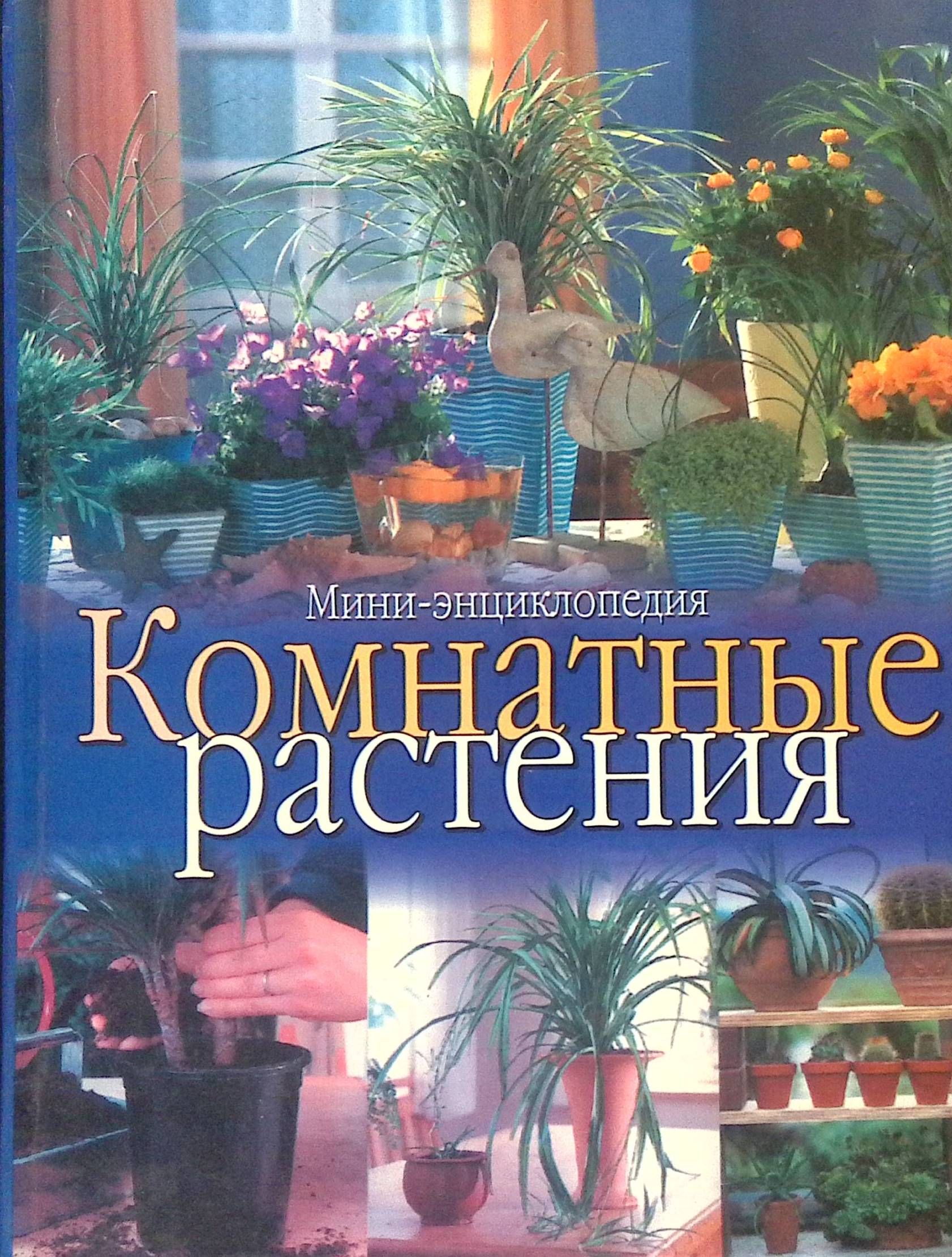 Комнатные растения