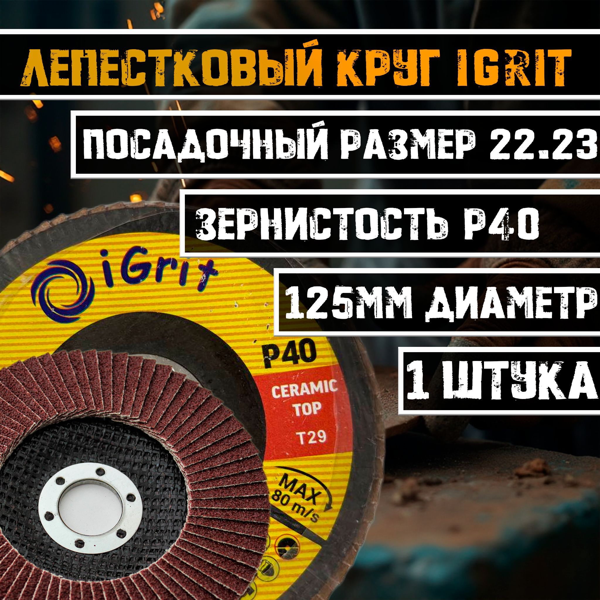 iGrit Круг лепестковый торцевой 125 x 22.23; P40