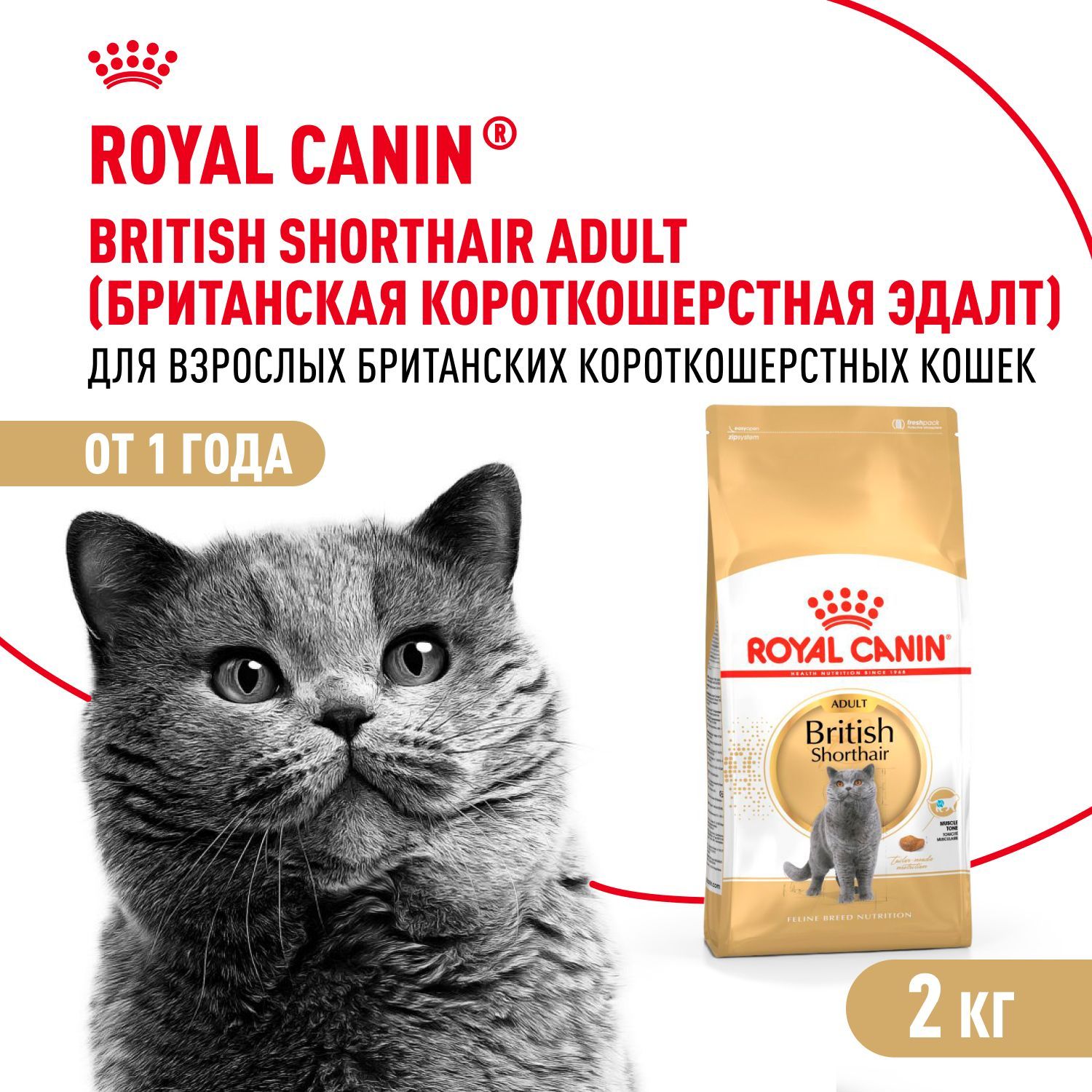 Сухой корм для кошек Royal Canin Adult британской короткошерстной породы, 2 кг