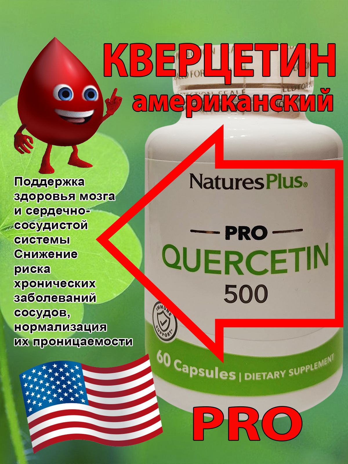 Quercetin - Image 1