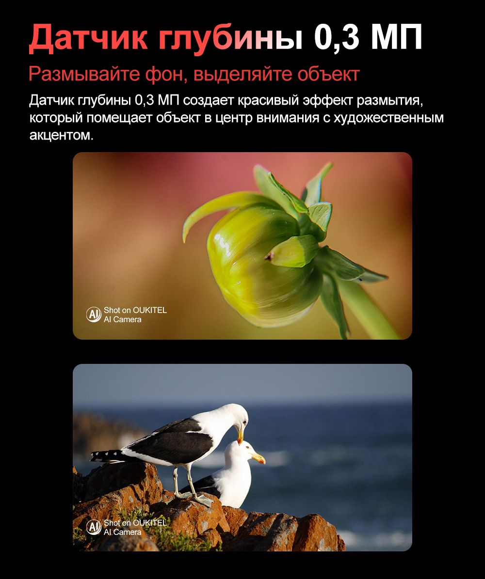 Oukitel Смартфон WP210,6.7