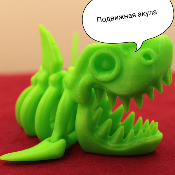 Скелет акулы - купить с доставкой по выгодным ценам в интернет-магазине ...