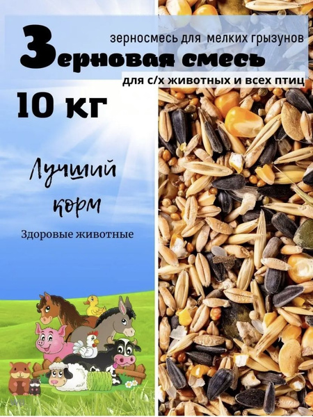 зерносмесь для птиц корм для взрослых птиц 10 кг - купить с доставкой ...