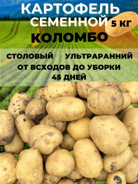 Клубни Картофель Russian Garden купить по выгодной цене в интернет ...