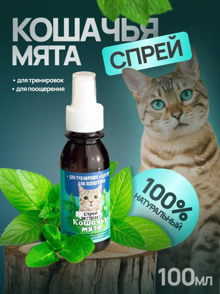 Спрей экстракт кошачьей мяты/Для Поощрения, игр, тренировок купить на ...