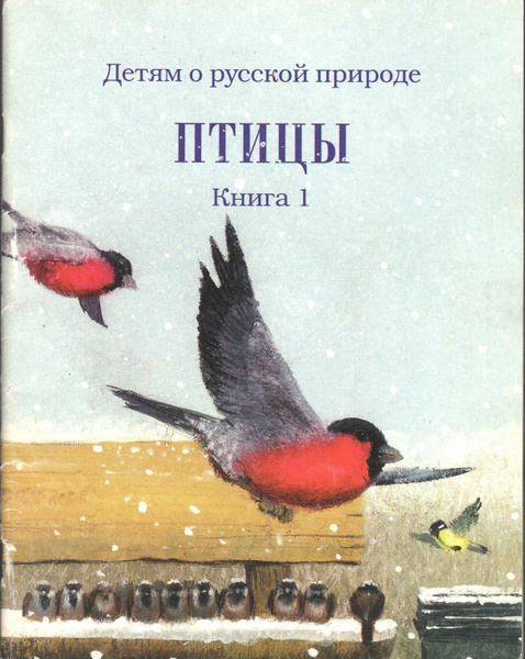 Детям о русской природе Птицы. Книга 1 | Кайгородов Дмитрий Никифорович ...
