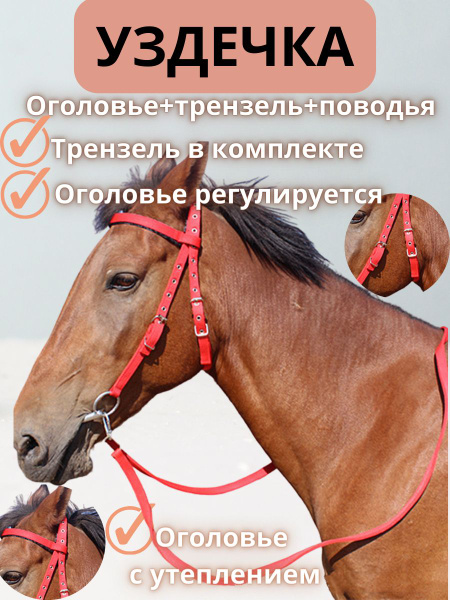 Уздечка для лошади красная Full - купить с доставкой по выгодным ценам ...