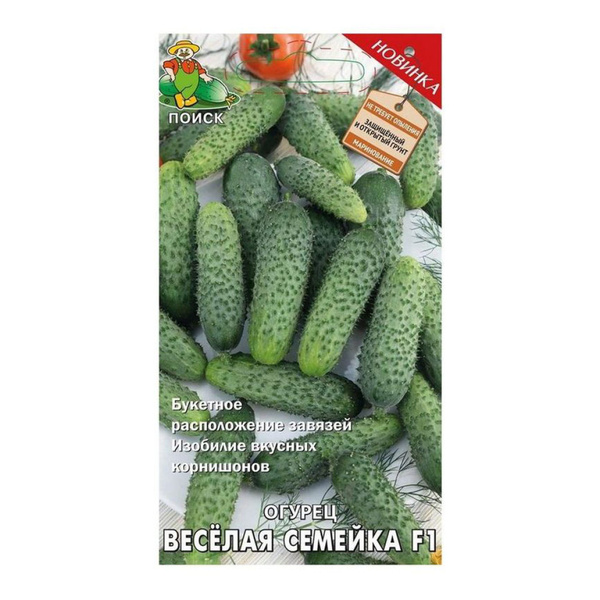 Поиск BiB_Огурец - купить по выгодным ценам в интернет-магазине OZON ...