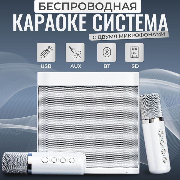 Караоке система профессиональная, черная, 2 микрофона - купить с ...